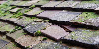 Hanley Grange roof repair costs